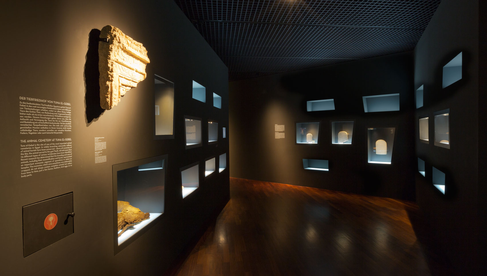 Blick auf unterschiedliche Wandvitrinen mit Exponaten darin