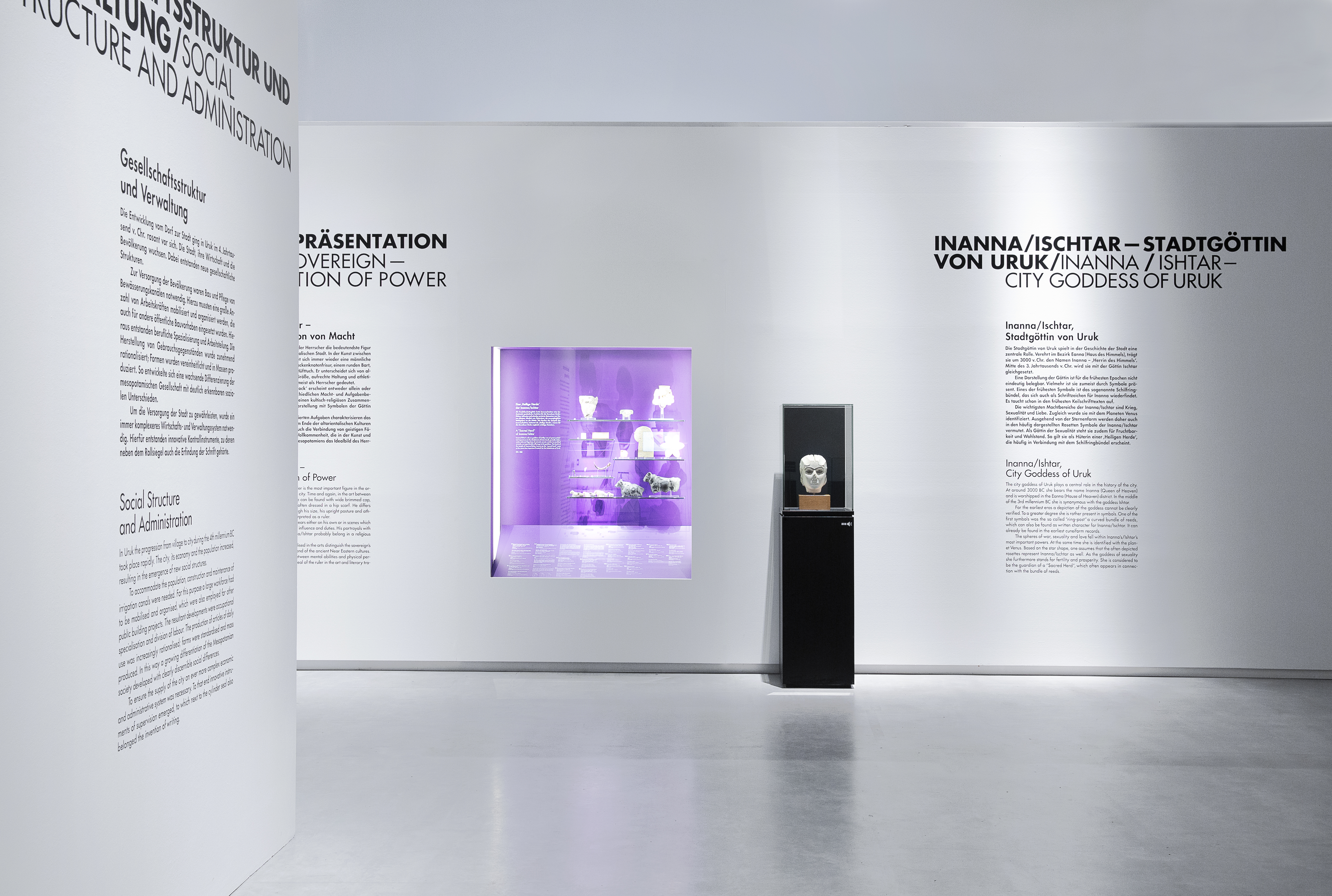 Blick auf weiße Wand mit schwarzer Schrift und einer Wandvitrine mit violetter Rückwand. Davor eine schwarze Aufsatzvitrine mit einem Steinkopf