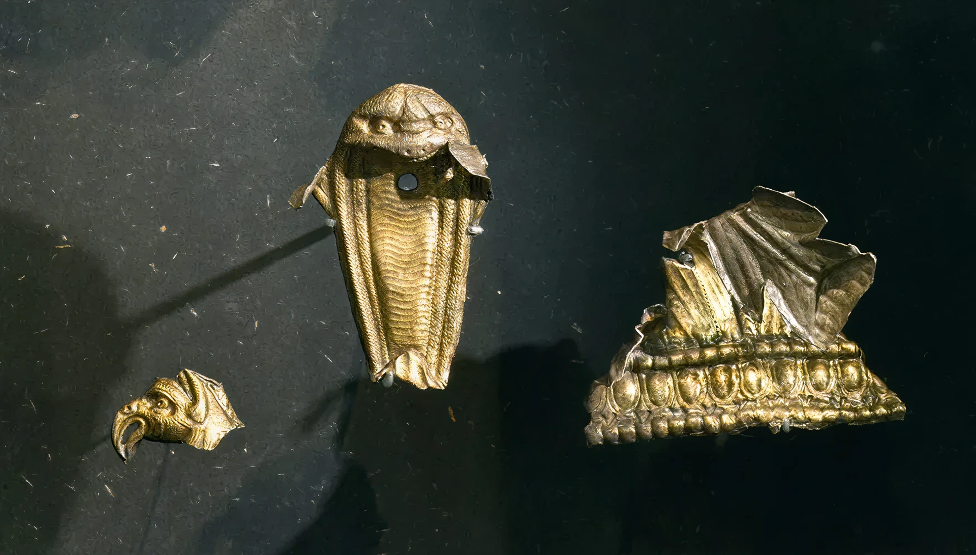 goldenes Exponat vor schwarzer Wand, das aussieht wie eine Schlange