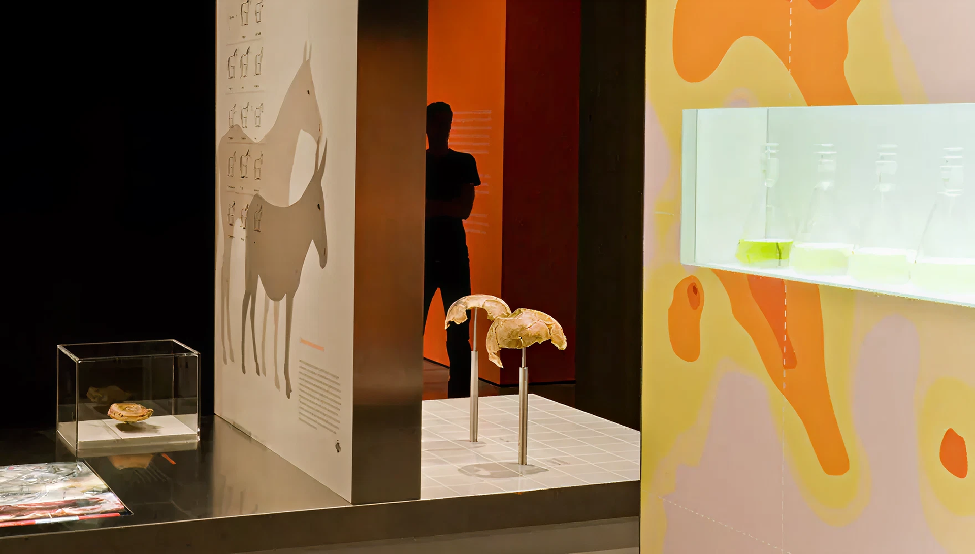 Blick auf verschiedene Ausstellungsmöbel