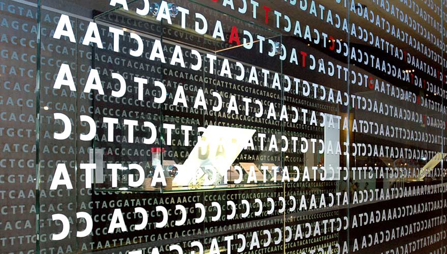 Glaswand auf der Buchstaben zu sehen sind.