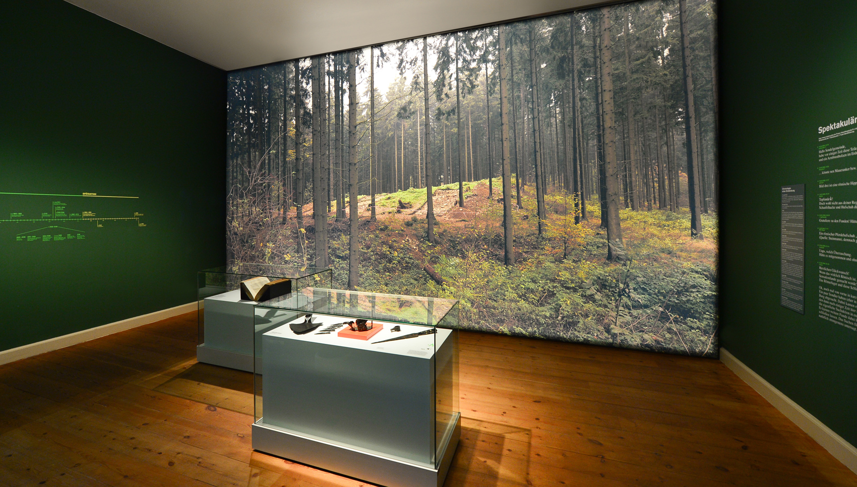 Blick in Raum mit zwei Podest-Vitrinen, dunkelgrünen Wänden und einer leuchtenden Fotowand mit Motiv "Wald"