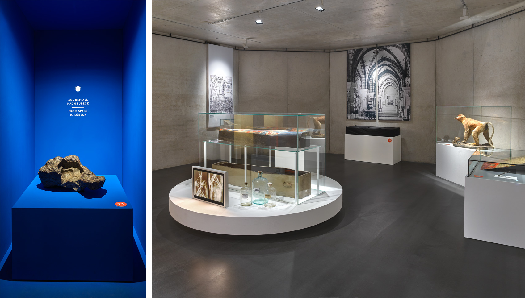 Splitscreen mit Ausstellungsraum und verschiedenen Exponaten