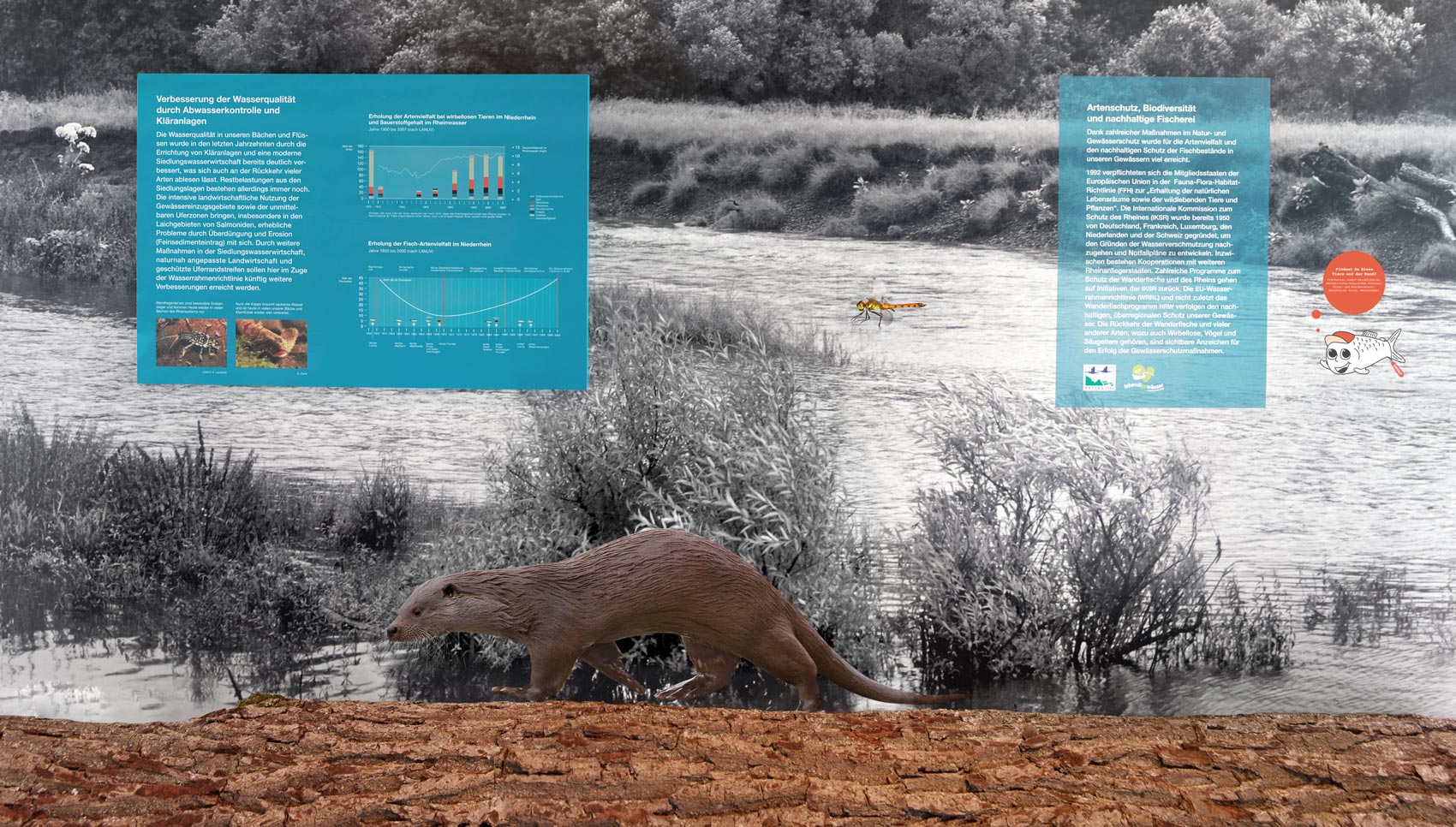 Ausschnitt Informationswand mit Grafiken und Text