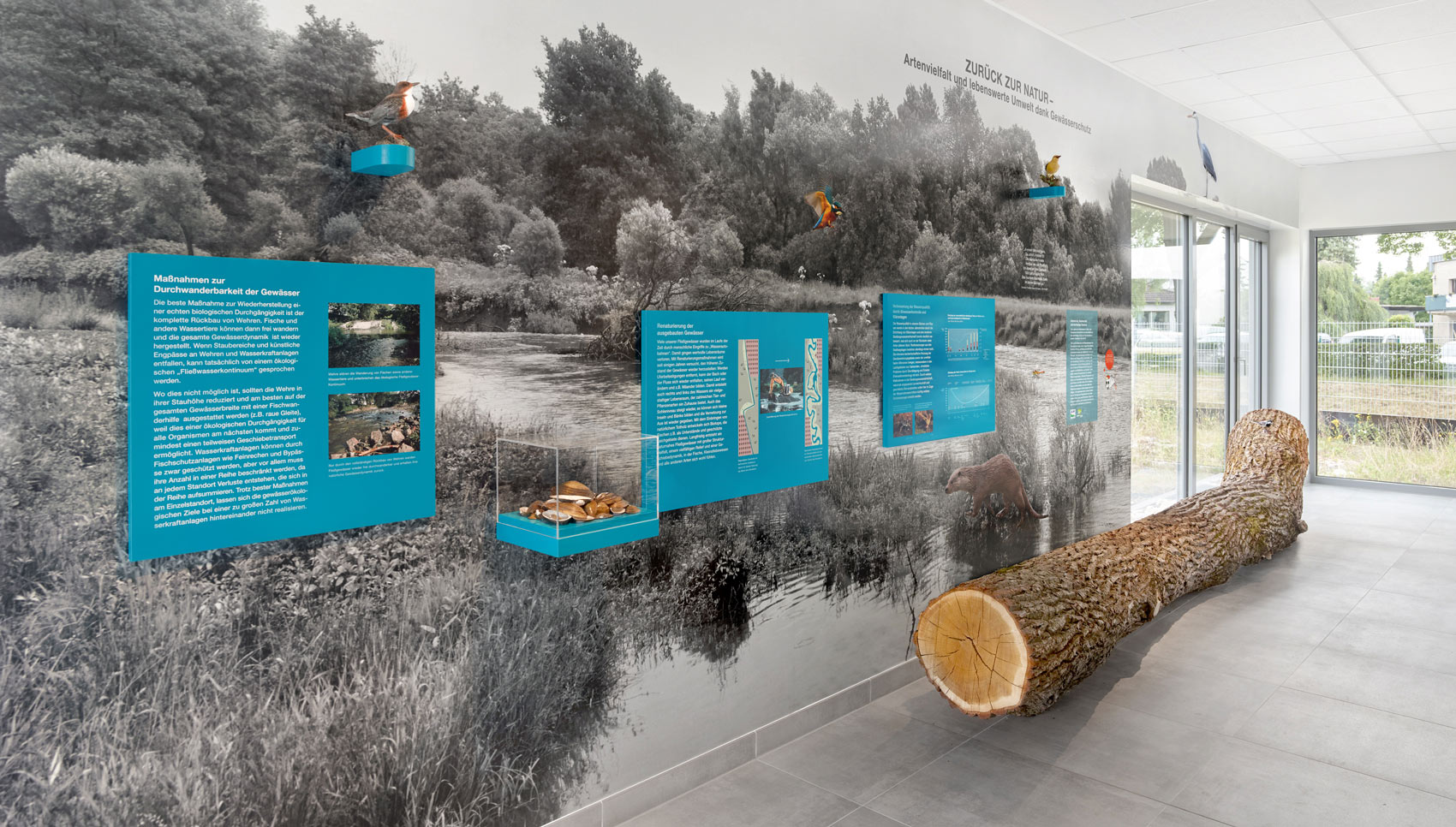 Ausschnitt Informationswand mit Grafiken und Text