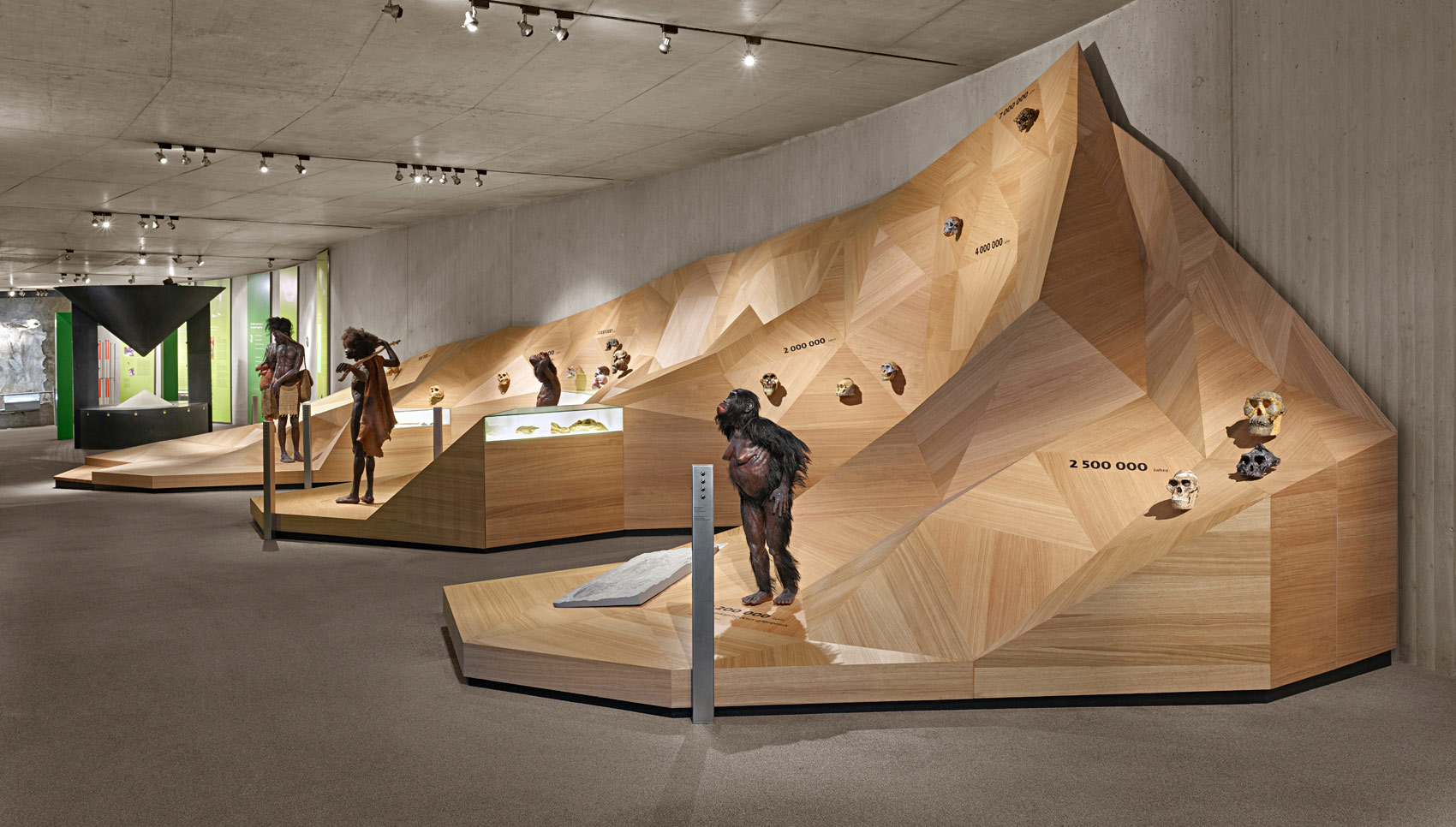 Ausstellungspodest aus Holz mit verschiedenen Exponaten, wie zum Beispiel Neanderthaler Figuren