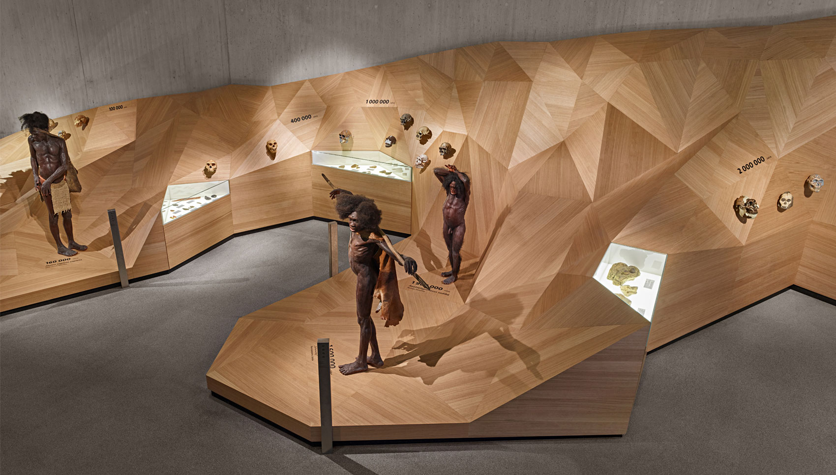 Ausstellungspodest aus Holz mit verschiedenen Exponaten, wie zum Beispiel Neanderthaler Figuren