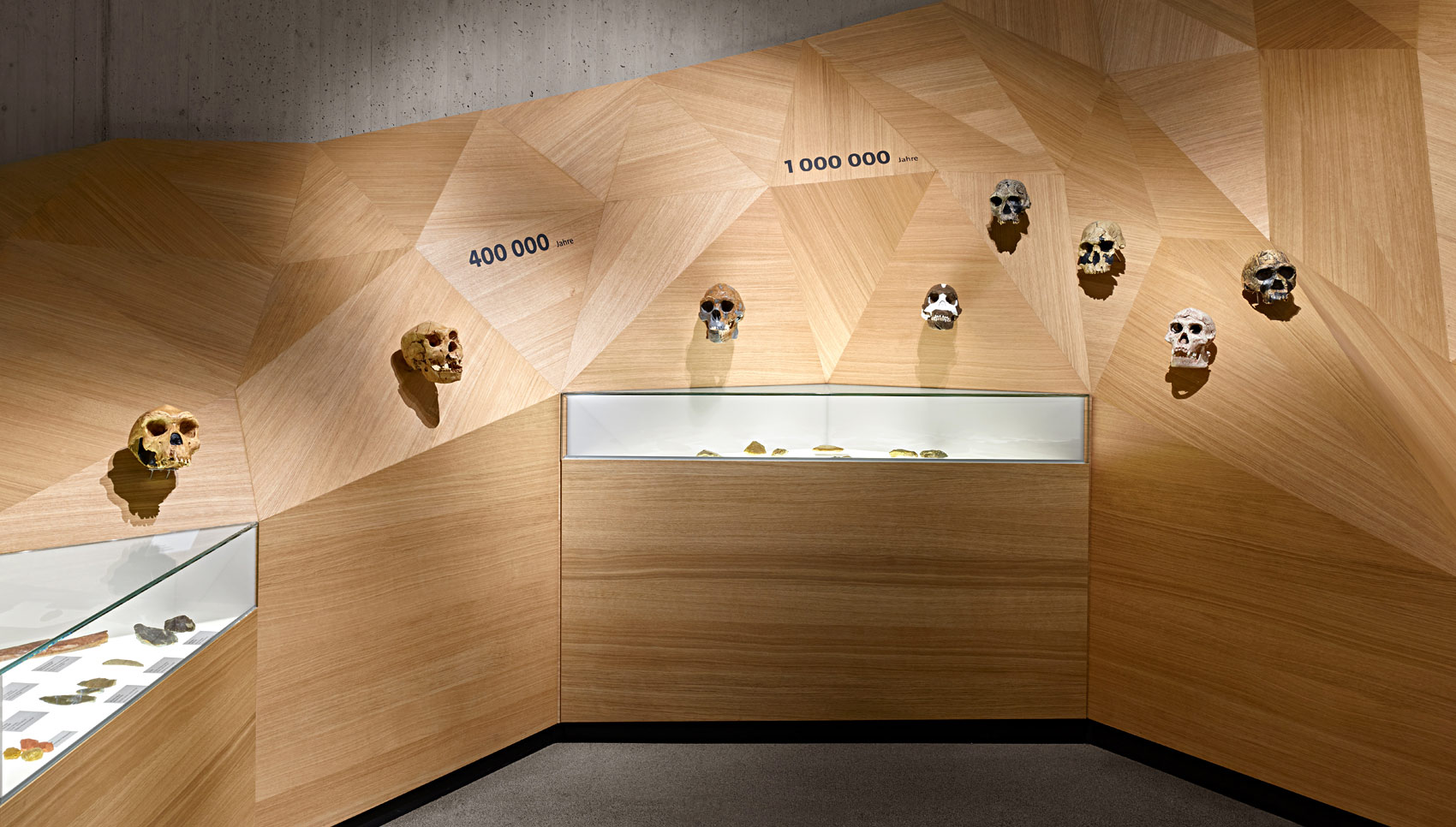 Ausschnitt Ausstellungspodest mit Neanderthaler Totenköpfen