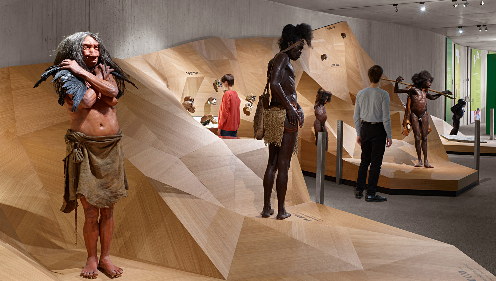 Ausstellungspodest aus Holz mit verschiedenen Exponaten, wie zum Beispiel Neanderthaler Figuren