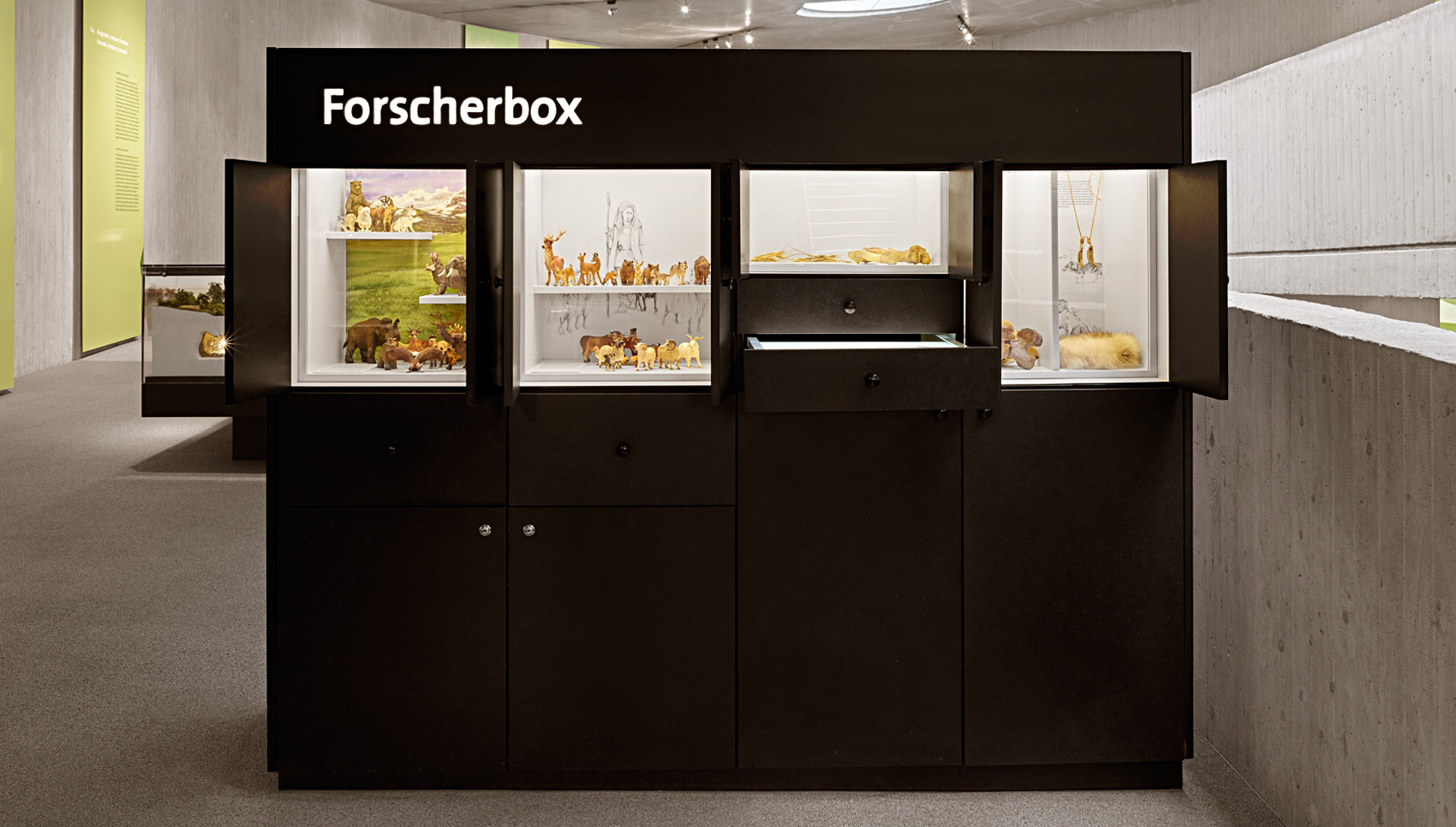 Schwarze Ausstellungsvitrine mit verschiedenen Exponaten