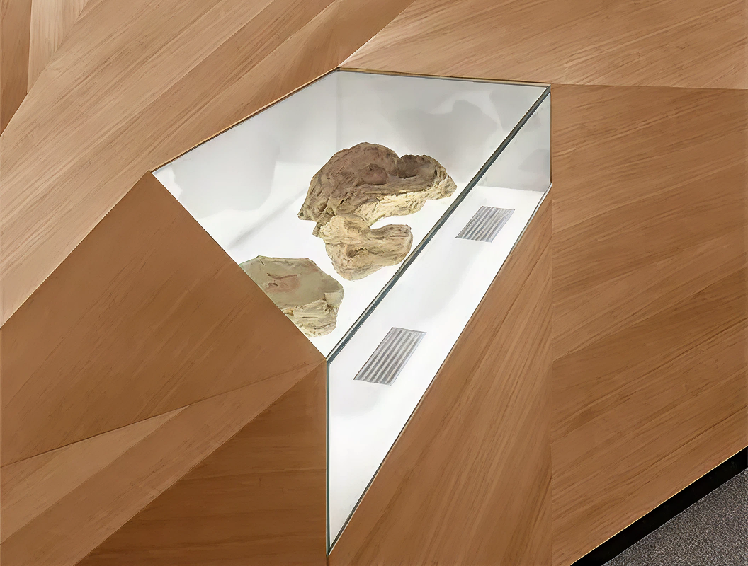 Titelbild Ausstellung Neanderthal Museum