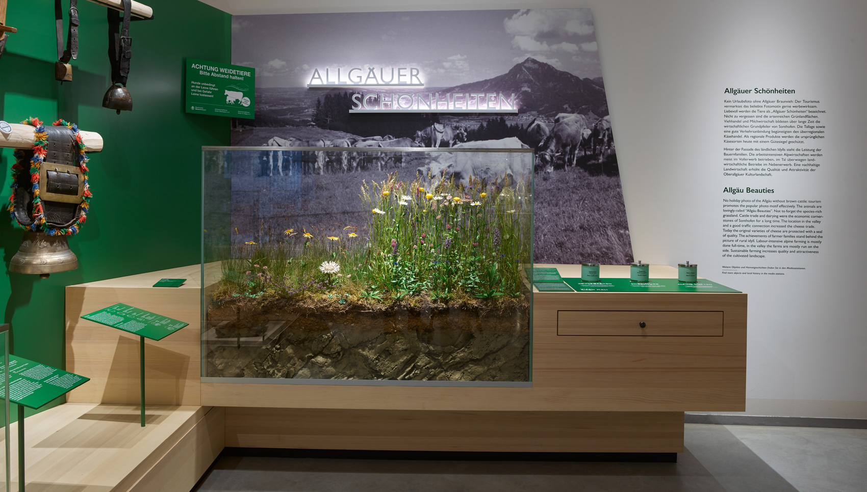 Ausstellungsmöbeln mit verschiedenen Exponaten