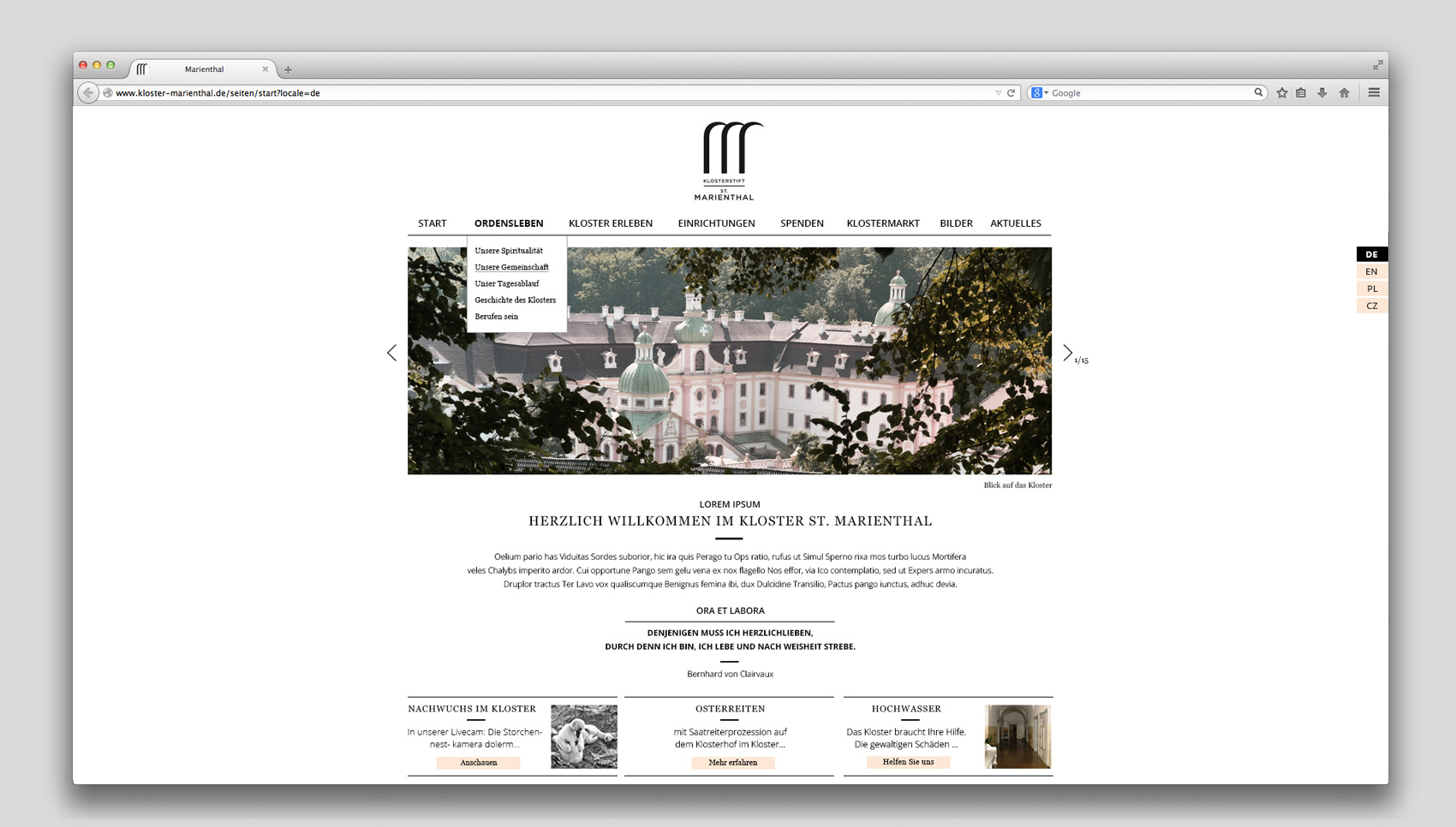 Website mit Logo und Screendesign