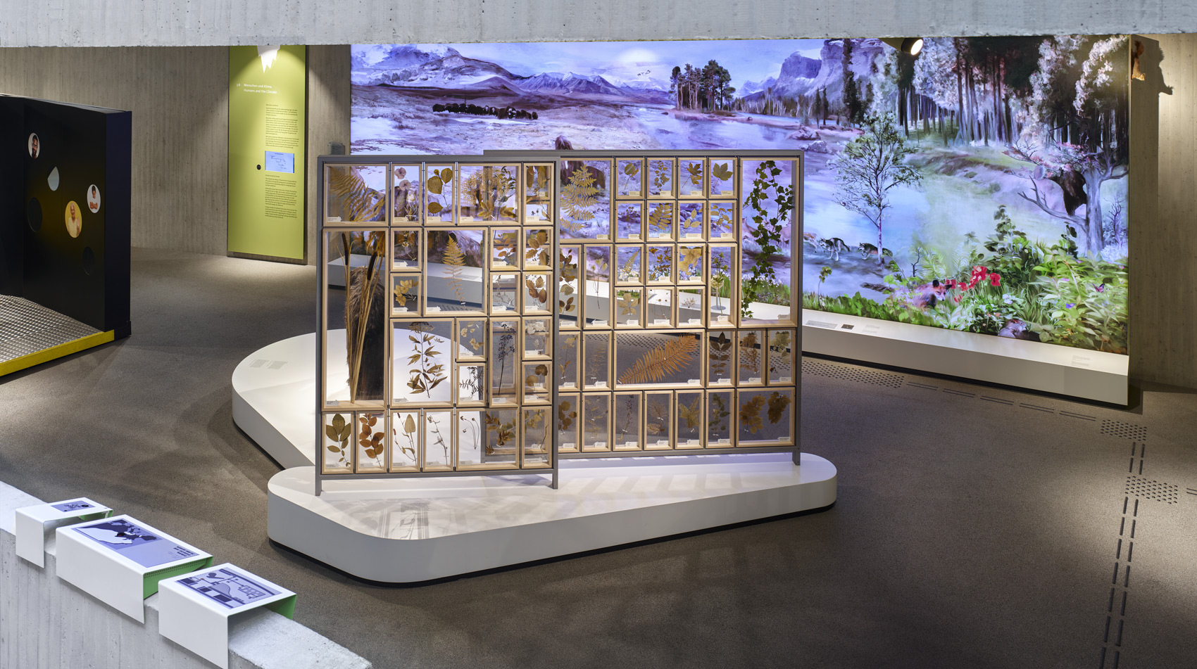 Ausstellungsraum mit Ausstellungsmöbel und verschiedenen Exponaten