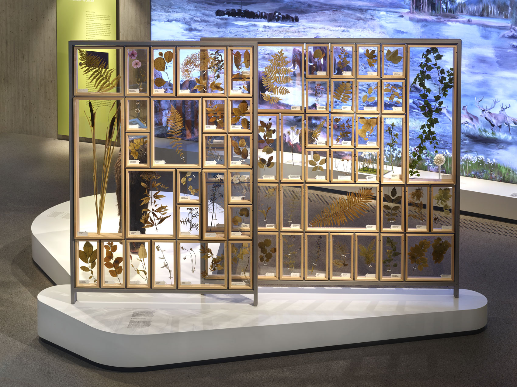 Ausstellungsraum mit Ausstellungsmöbel und verschiedenen Exponaten