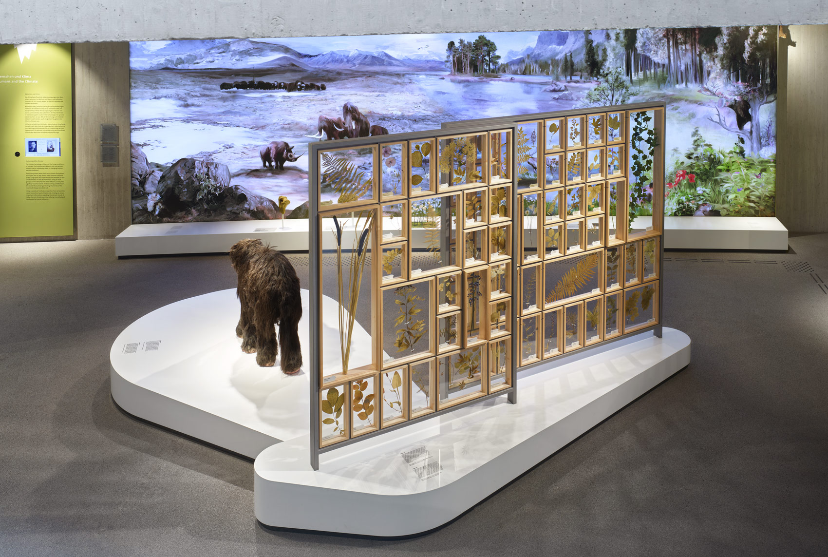 Ausstellungsraum mit Ausstellungsmöbel und verschiedenen Exponaten