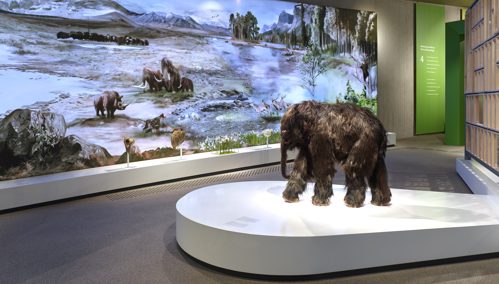 Lebensechte Mammutbaby-Rekonstruktion auf einem weißen Sockel