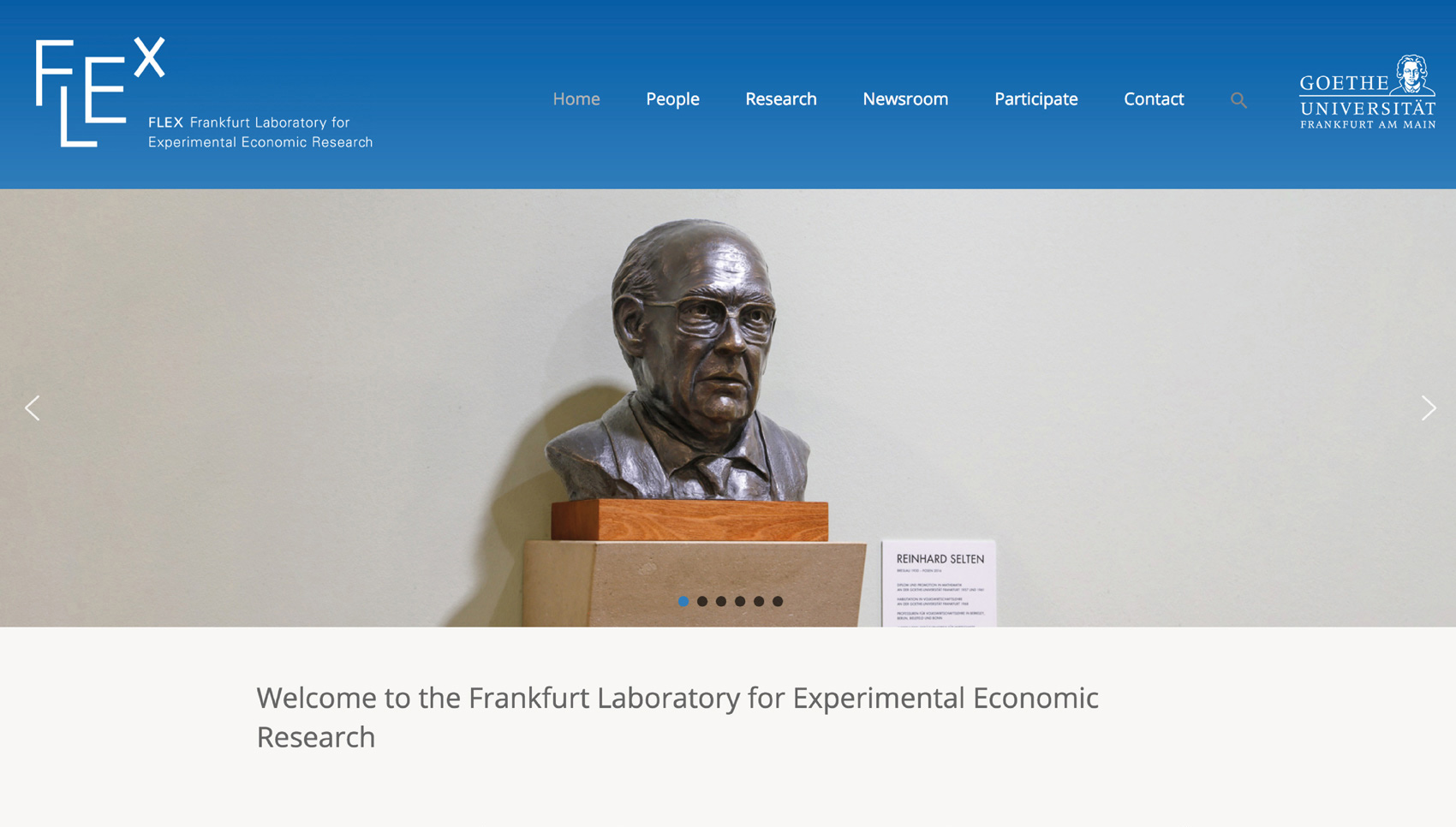 Websiteansicht der Startseite "Flex"