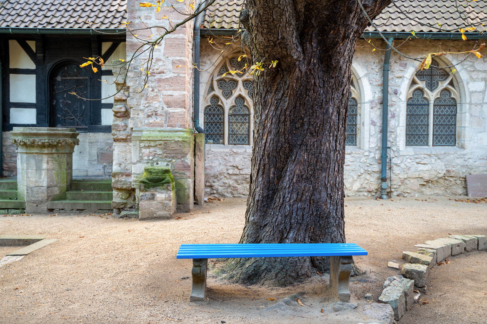 Blaue Sitzgelegenheit vor einem Baum