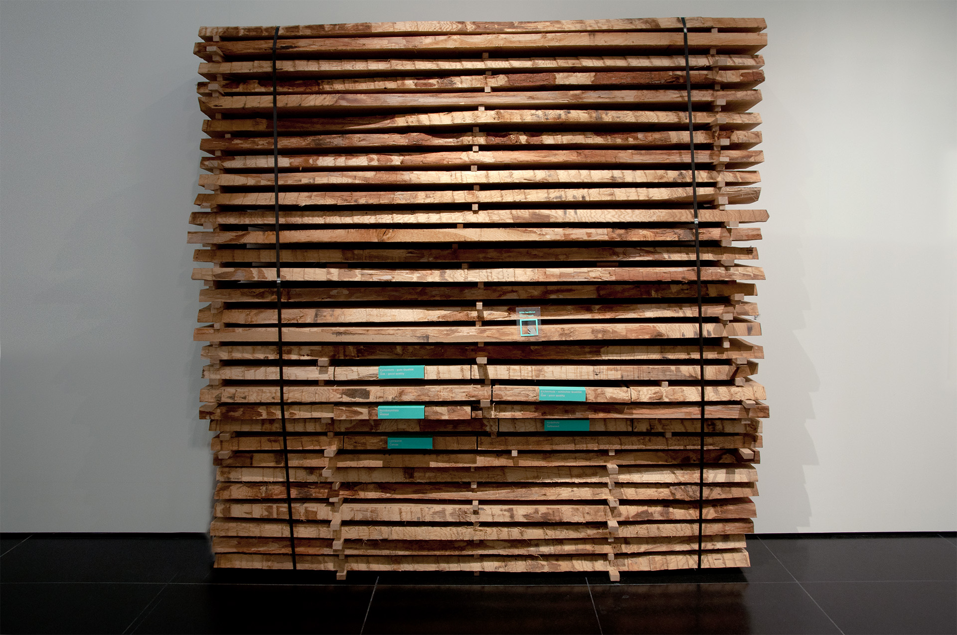 Baumscheibenstapel mit Auszügen