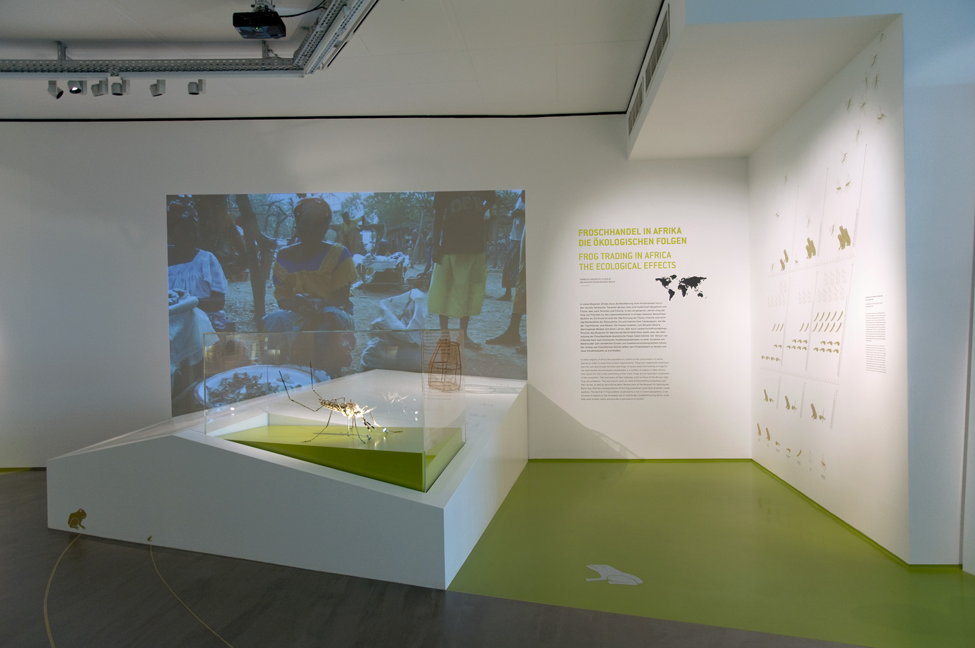 Tischpodest mit großer Aufsatzvitrine und überdimensionalem Modell einer Stechmücke. Dahinter Projektion eines Films und Wandtext "Froschhandel in Afrika die ökologischen Folgen"