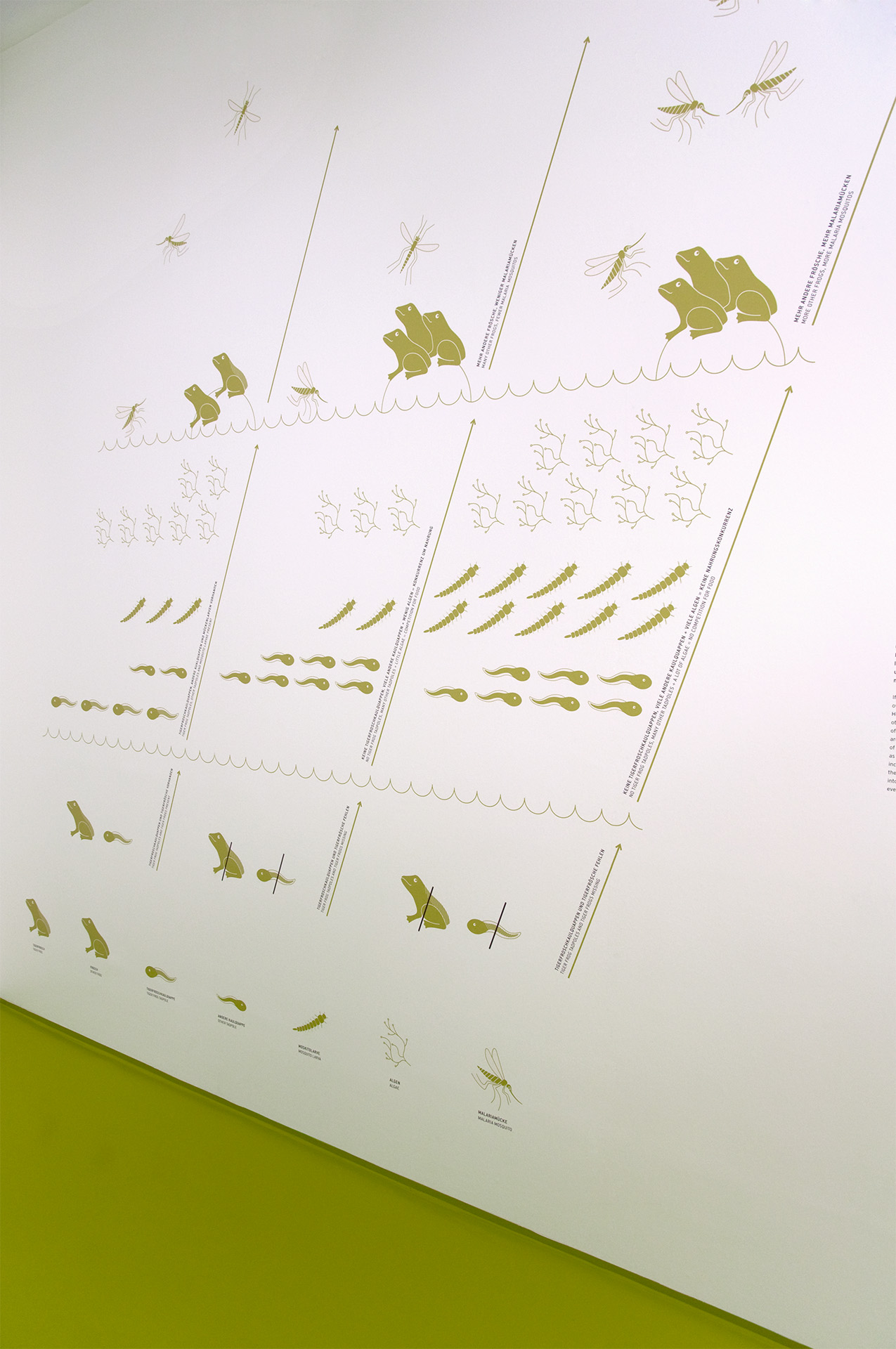 Grafik mit Fröschen