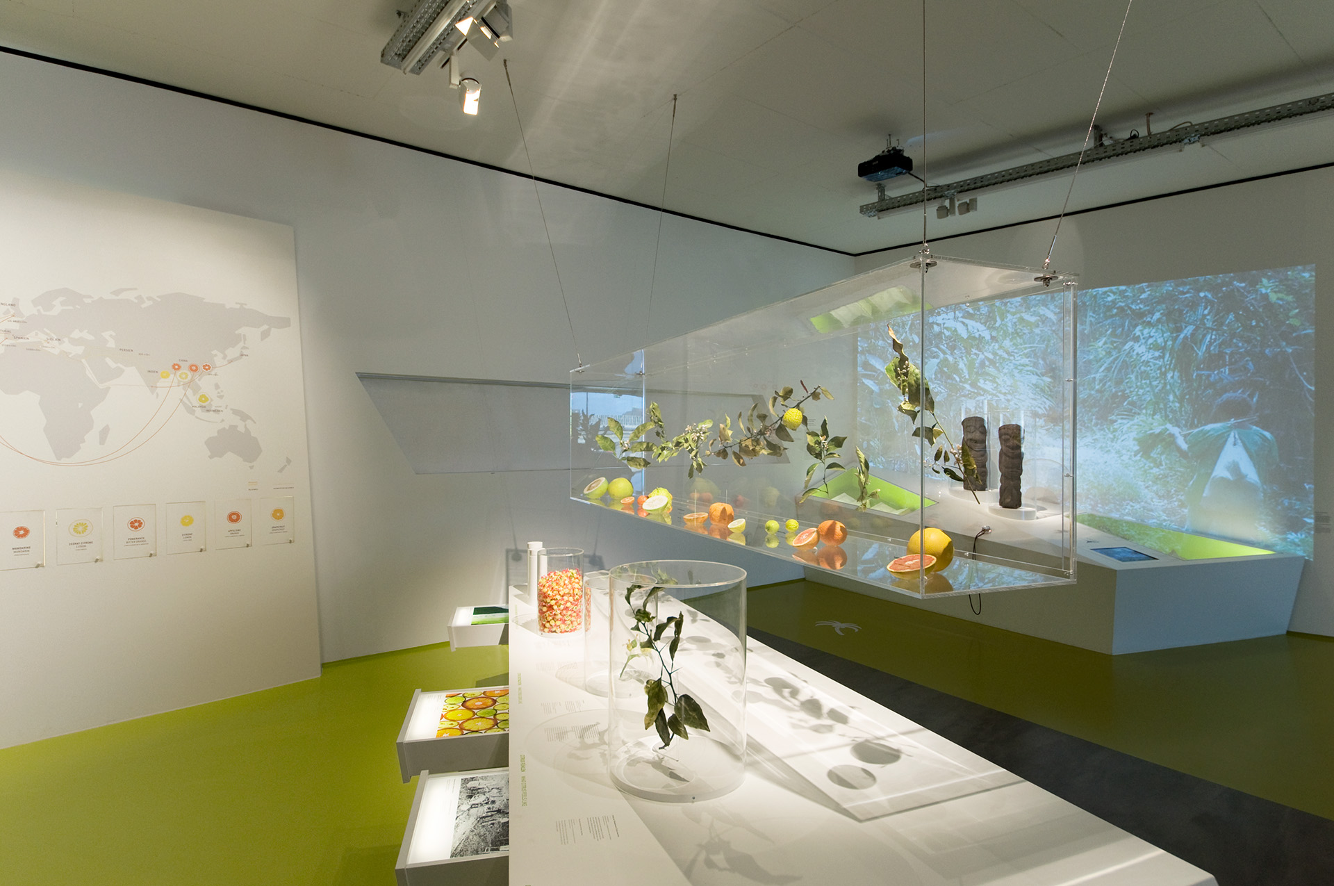 Tischpodest mit offenen Auszügen und darüber schwebendem Glaskasten, der verschiedene Zitrusfrüchte beinhaltet.