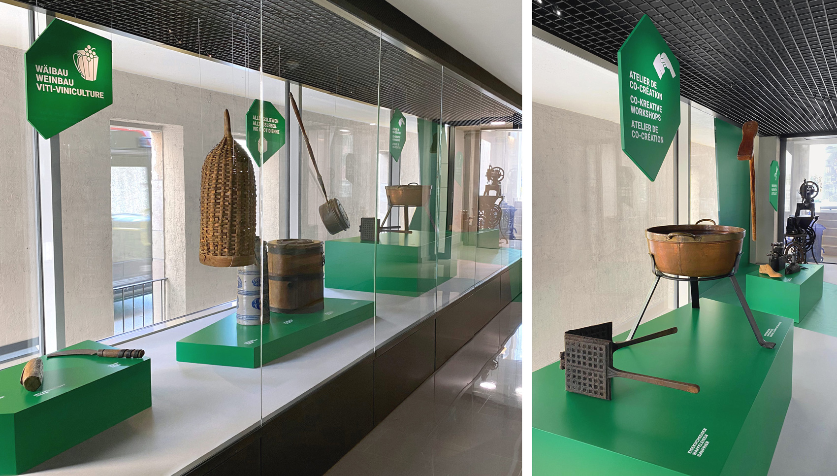 Vitrinen mit Exponaten und grünen Elementen