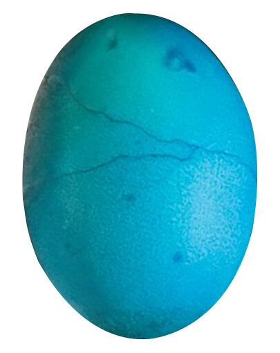 Blaues Ei