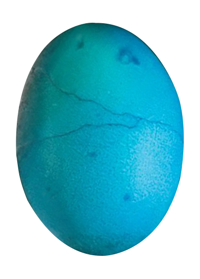Blaues Ei