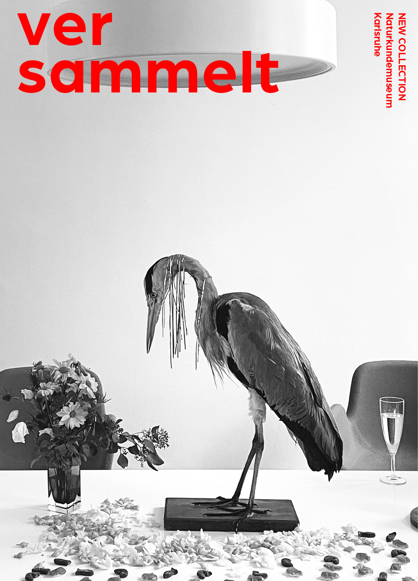 Titelbild "versammelt". ausgestopfter Kranich der auf einem Tisch steht.