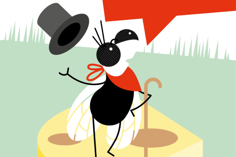 Titelbild Eröffnung Alpenstadtmuseum Sonthofen